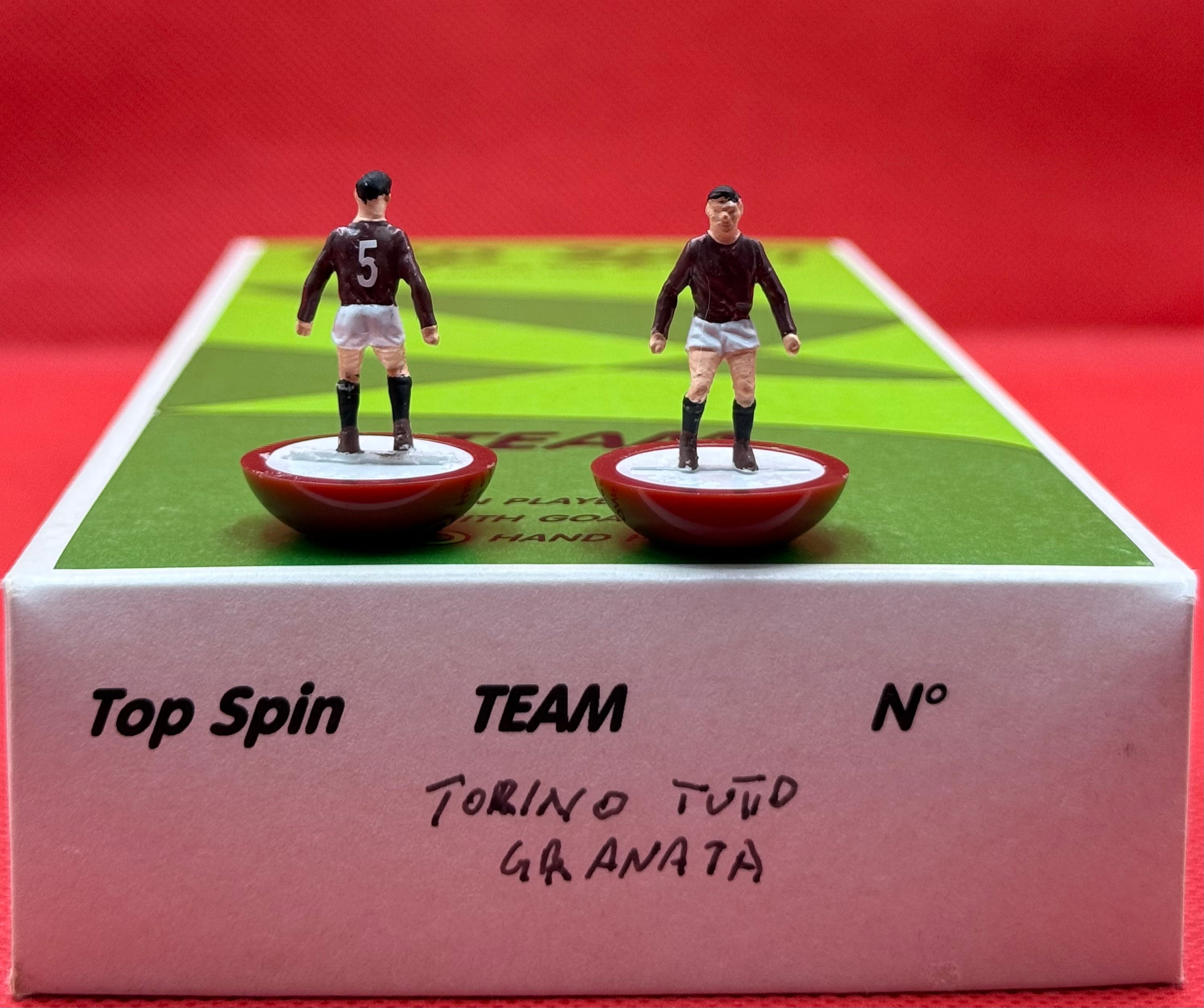 Topspin squadra HW Torino - Dipinta a mano